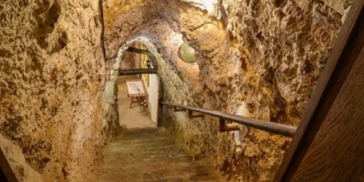 Entreviñas y Olivos