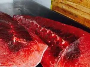 La Tasquita del Majaceite