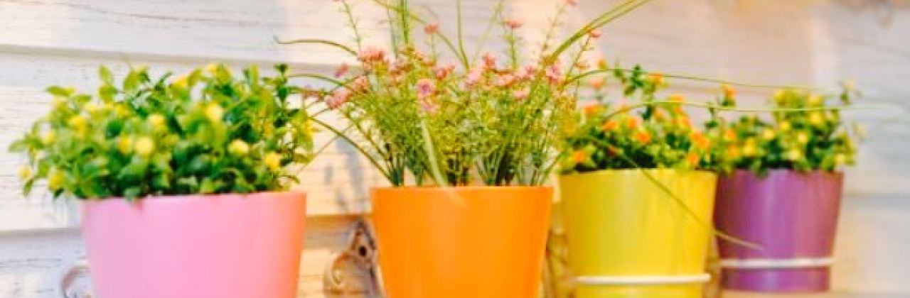 Kazdoura Lebanese Cuisine