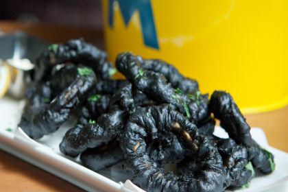 스페인클럽 해운대