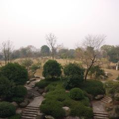 悦兮半岛温泉度假酒店·餐厅部 User Photo
