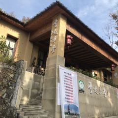云起草堂(白云山森林公园店) User Photo