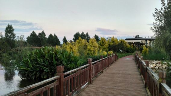 อุโมงค์สีเขียวหลุมเก่า