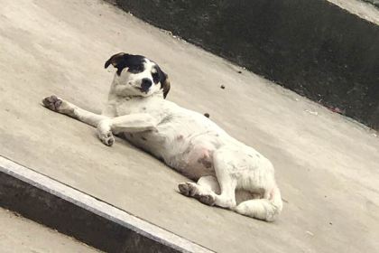 福鼎风味(江湾路店)