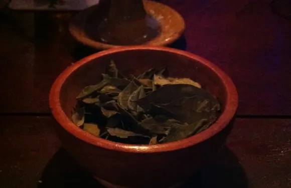 Carla's Garden Pub & Restaurant