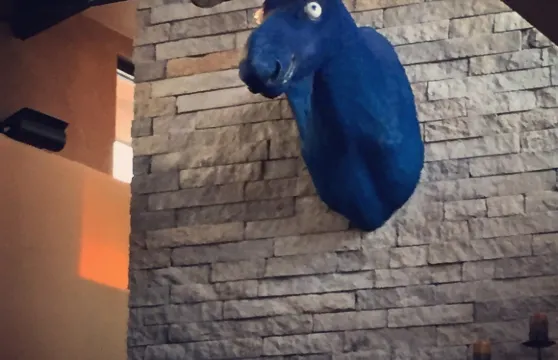 Blue Moose Bar & Grill