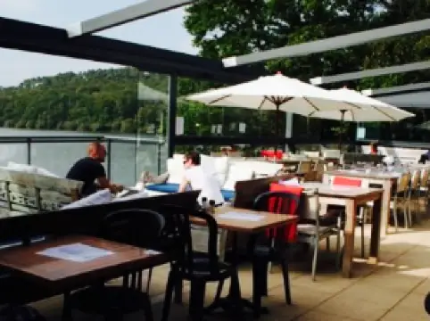 Merlin les pieds dans l'eau