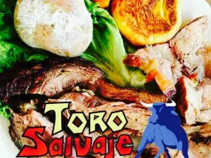 Toro Salvaje