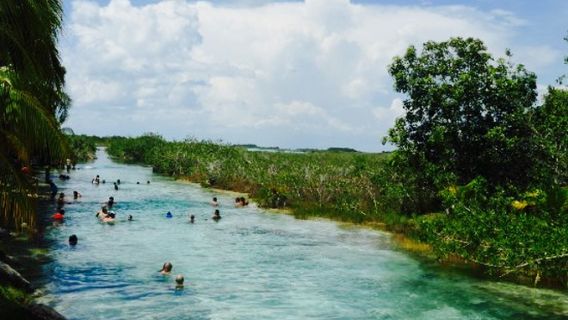 Los Rápidos Bacalar