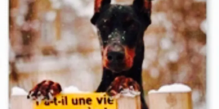 Boulangerie Roche/Fils