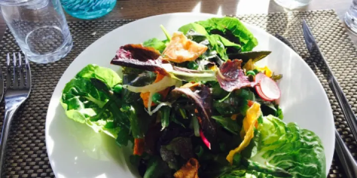 The Terrace Restaurant