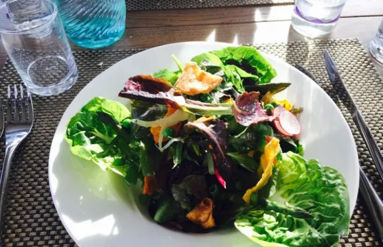 The Terrace Restaurant