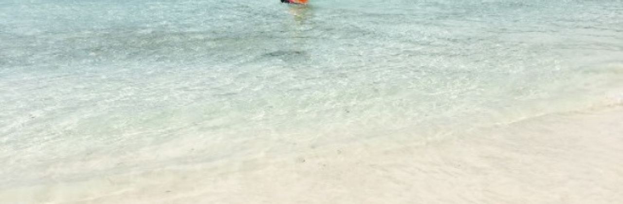 Beach Bum Bar and Grill