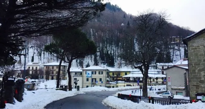 Albergo Ristorante La Foresta