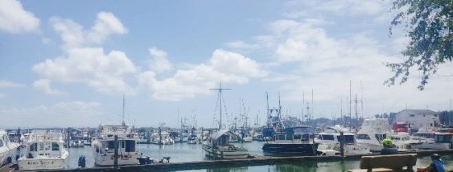 OleBob's Seafood Market and Galley Restaurant
