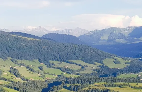 Gasthof Alpenblick