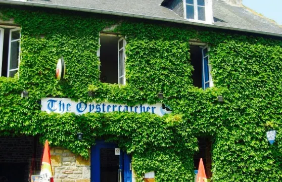 The Oystercatcher Bar