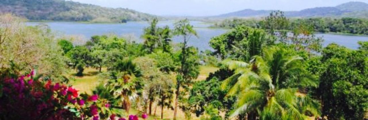 Monkey Lobby Bar in Gamboa Rainforest Resort