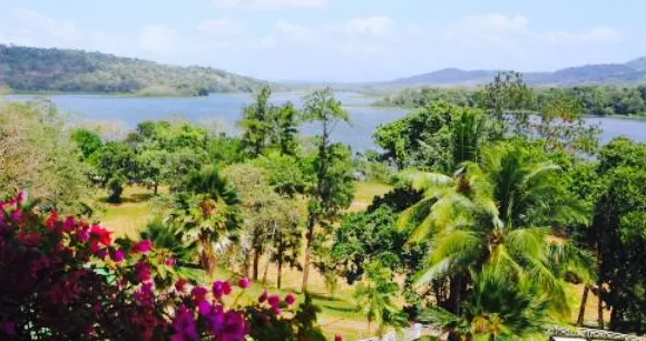 Monkey Lobby Bar in Gamboa Rainforest Resort