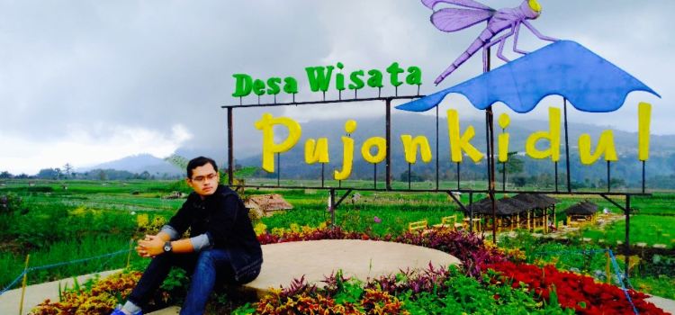 Cafe Sawah