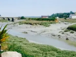 Audineau