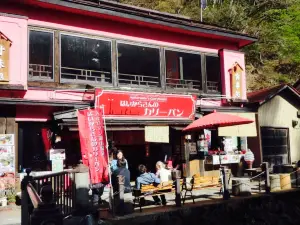 Ginzan Onsen Haikara San Dori