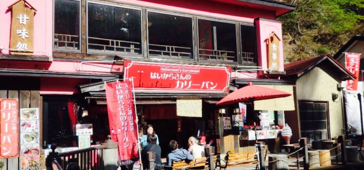 Ginzan Onsen Haikara San Dori