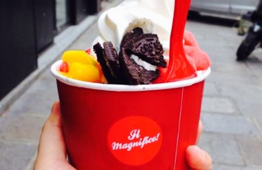 Yogurt Factory