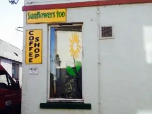 The Sunflower Cafe