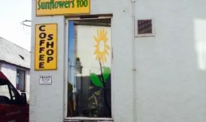 The Sunflower Cafe