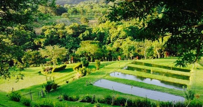 Turín Costa Rica