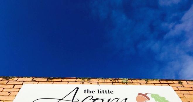 The Little Acorn