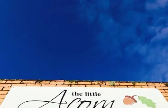 The Little Acorn