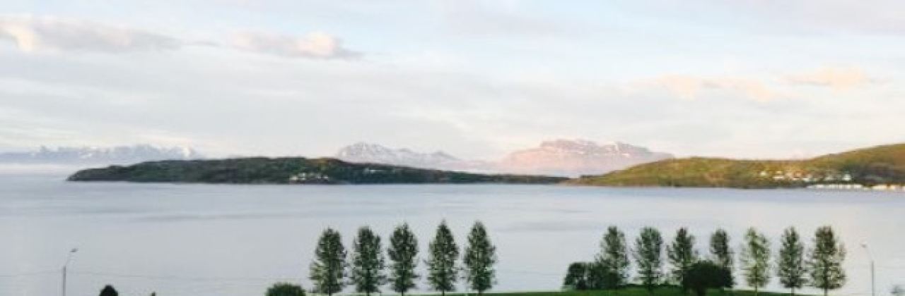 Rokenes Gard og Gjestehus Diner