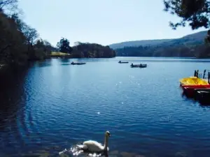 Pitlochry Boating Station Cafe