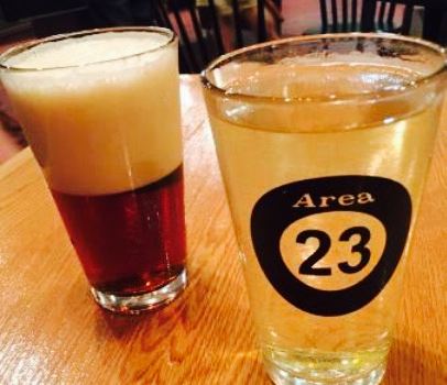 Area 23