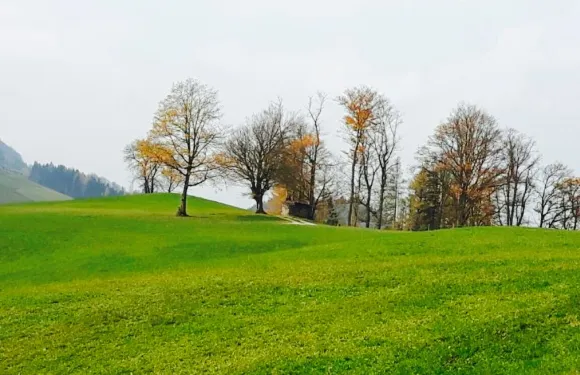 Café Restaurant Petermühle