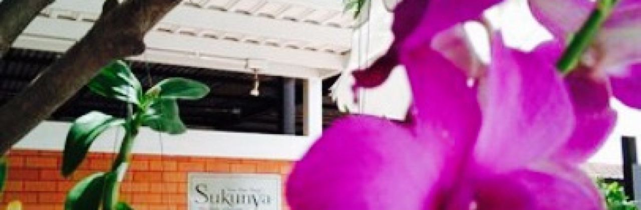 Sukunya Somtum, Ayutthaya City