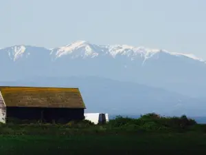 Anchorage Inn Bed and Breakfast