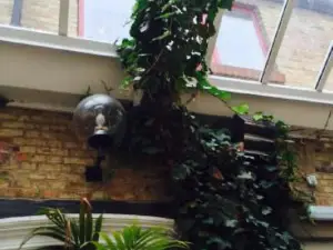 Cafe Courtyard