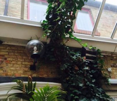 Cafe Courtyard