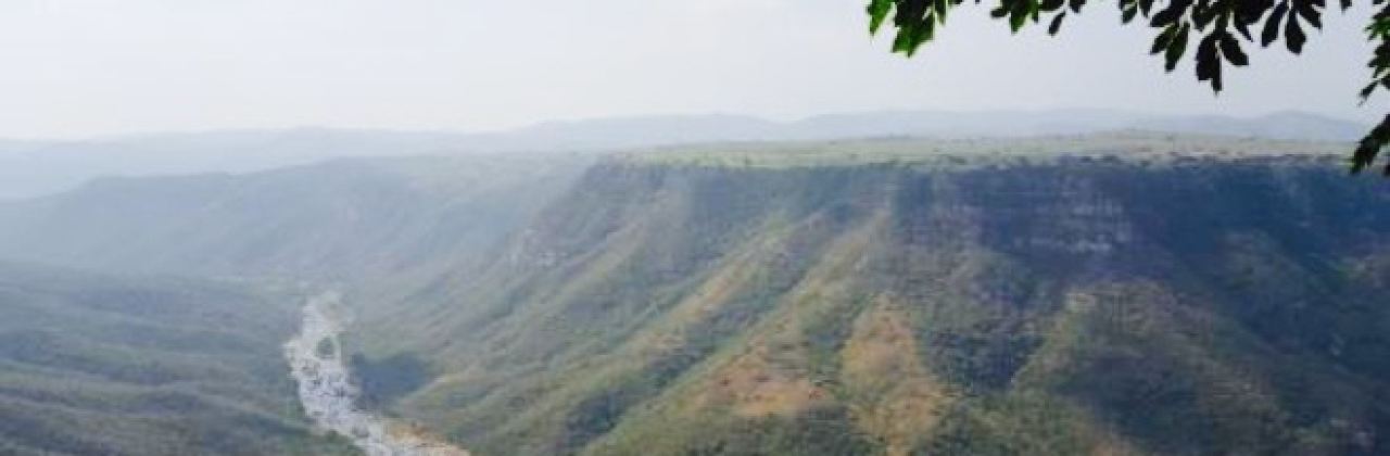 Leopard Rock Coffee Shop and Lookout Chalets