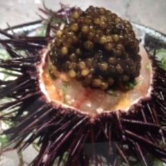 WAKU GHIN BY TETSUYA WAKUDA User Photo