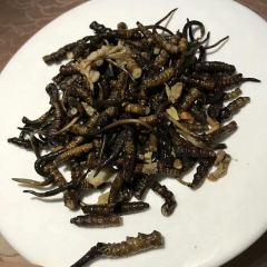 Biguiyuannongzhuang User Photo