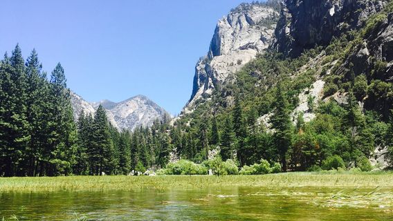 Zumwalt Meadows Trailhead