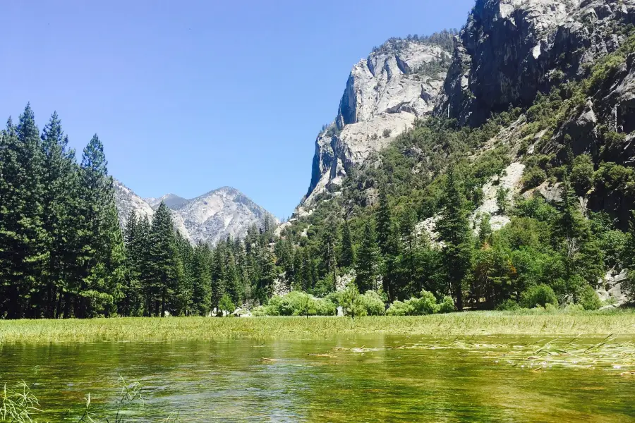 Zumwalt Meadows Trailhead