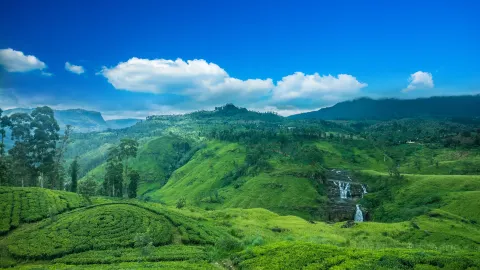 Nuwara Eliya District travel destination