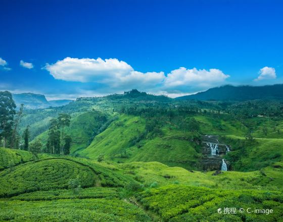 努沃勒埃利耶區 自由行套票