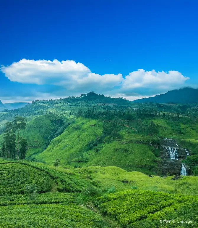 Nuwara Eliya District
