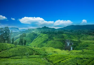 Nuwara Eliya (Distrikt)